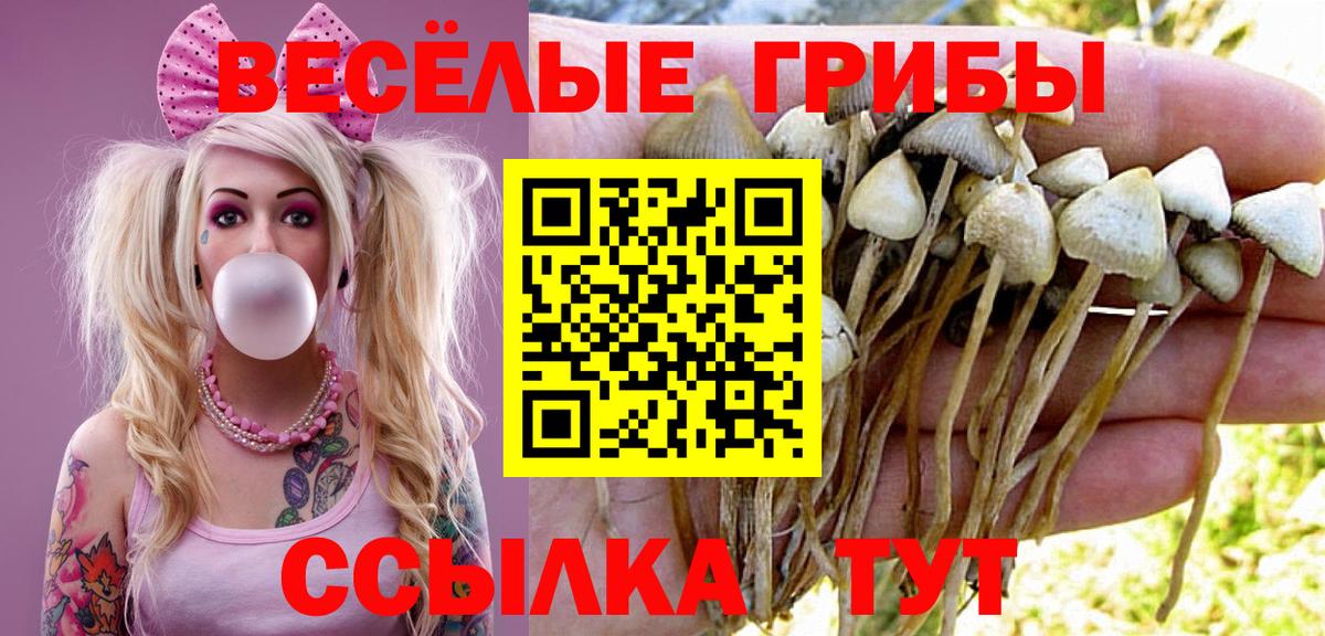 Меф   ГАШ  Гурьевск  Кокаин  МЕТАДОН  Экстази  Вход с VPN  LSD-25  МАРИХУАНА  А ПВП СК   Купить наркотики цена 