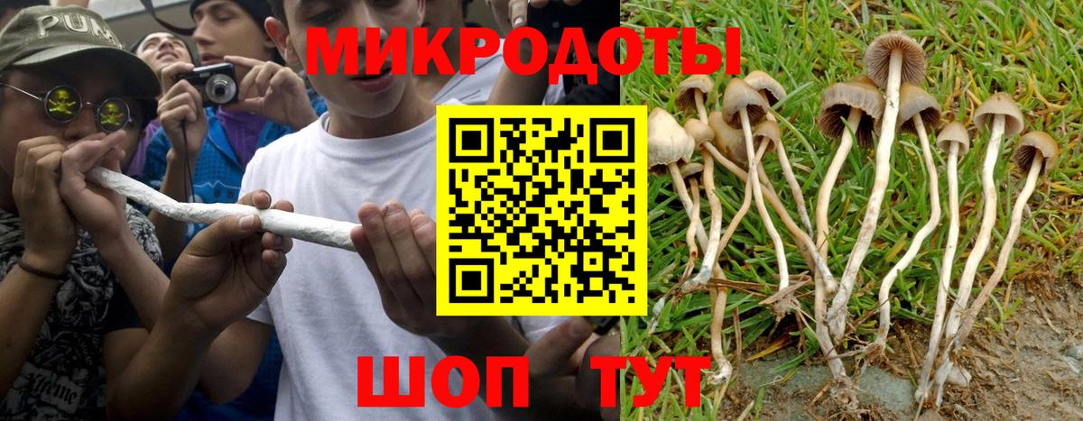 Псилоцибиновые грибы GOLDEN TEACHER Гурьевск