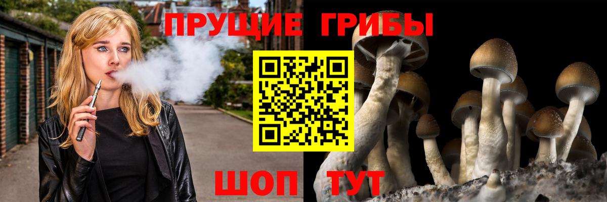 Псилоцибиновые грибы прущие грибы  Галлюциногенные грибы ЛСД  Вход с VPN  Гурьевск 