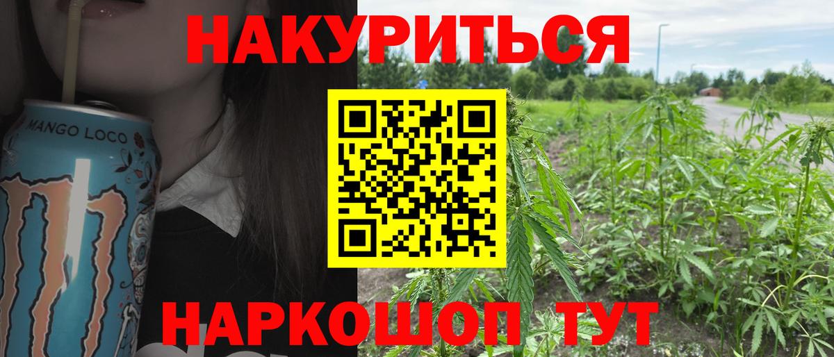 Конопля индика Гурьевск